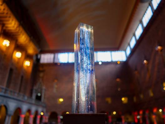 546958639_1201524625342638_4635568510937843178_n