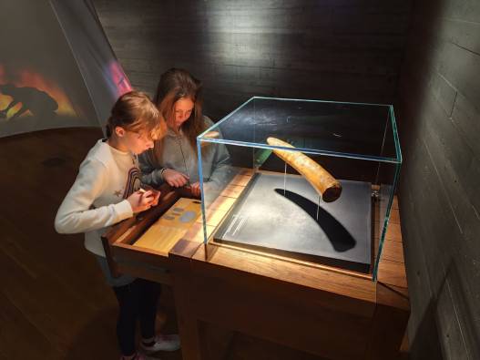 546539977_1374300424701753_6874812967006306343_n