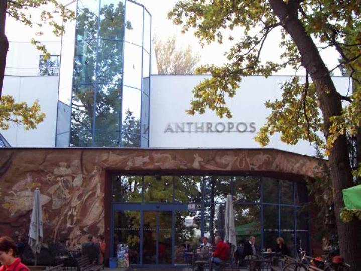 anthropos-600x600-q75